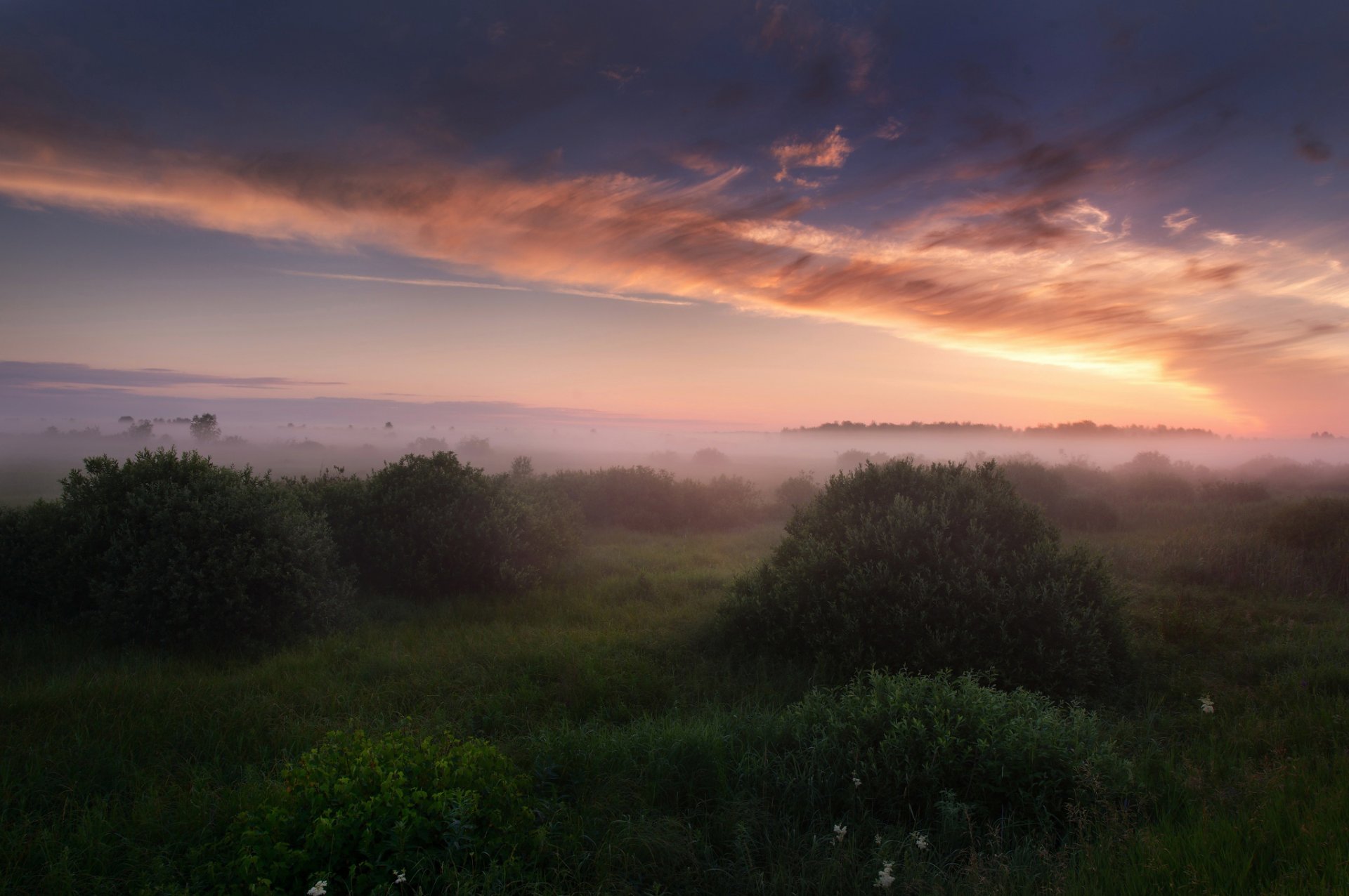rusia verano julio mañana niebla cielo nubes luz hierba arbustos