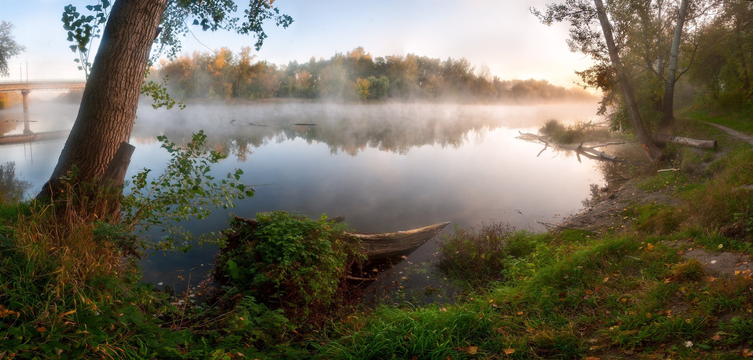 lac brouillard arbres sentier pont