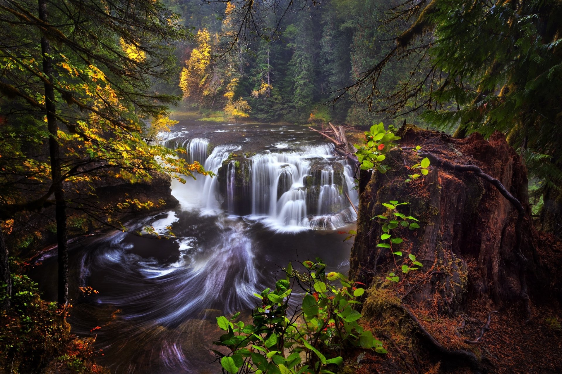 united states state washington lewis river lower lewis river falls autumn forest