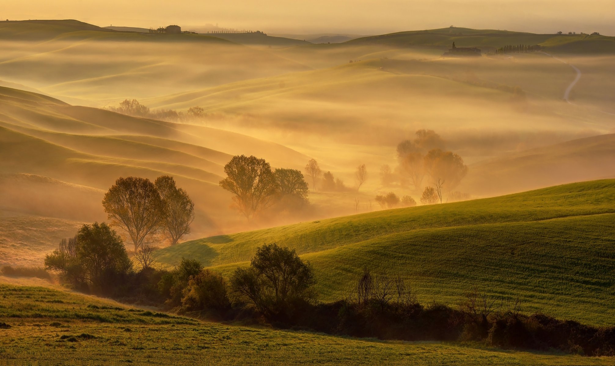 italy tuscany spring april morning golden light
