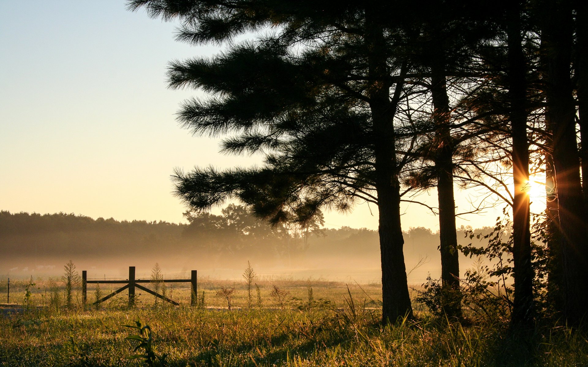 alabama usa morgen morgendämmerung himmel wald bäume feld nebel