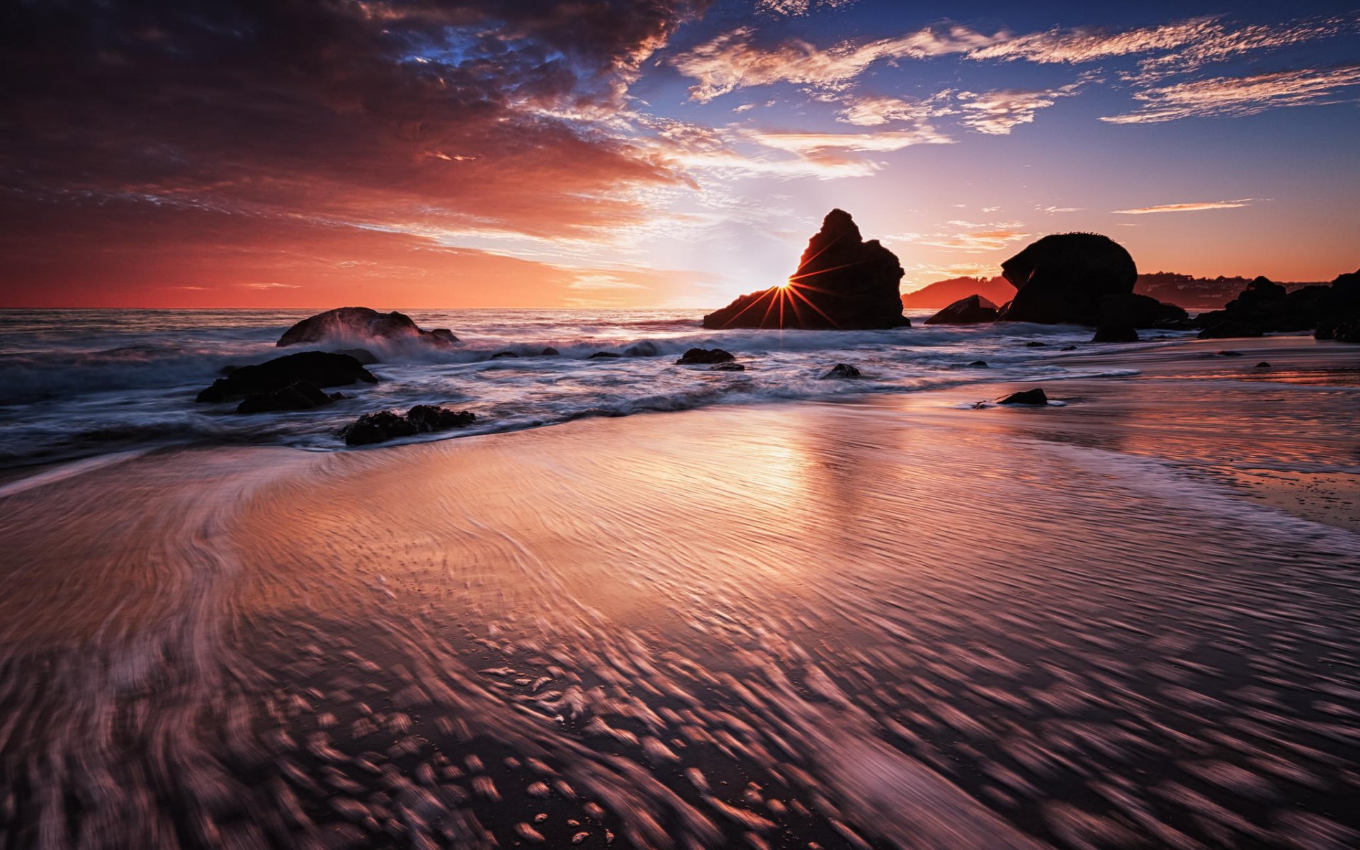 beach shore ocean rocks blossom nature