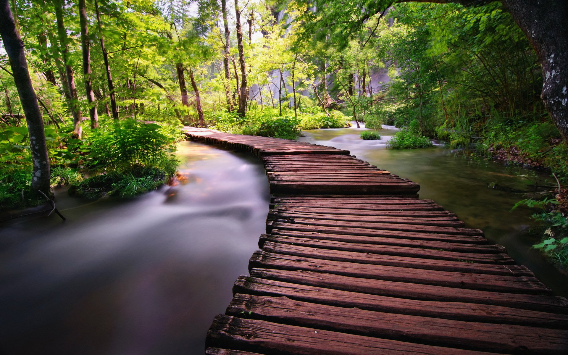river bridge nature