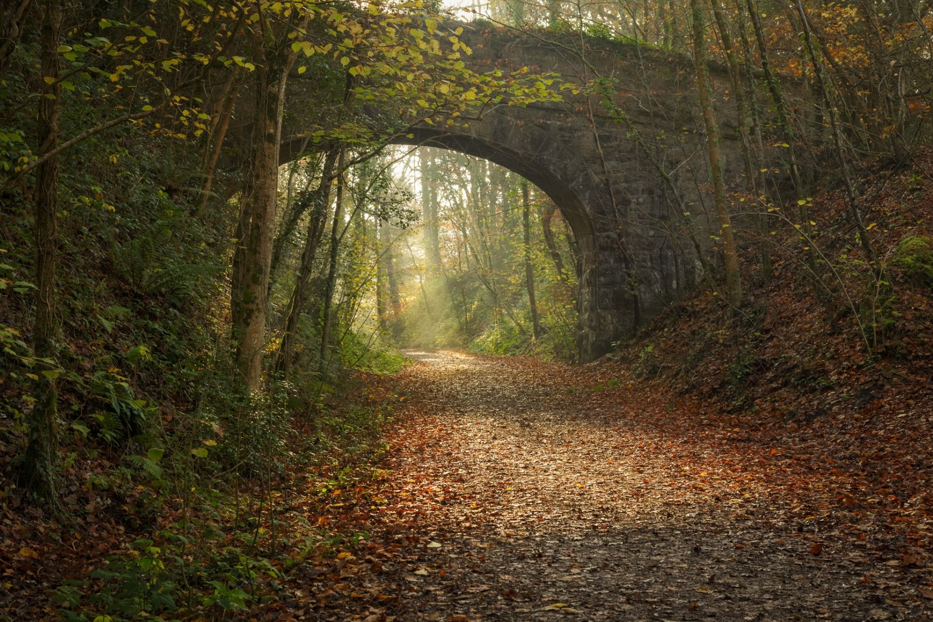 parc route arche pont ferroviaire automne