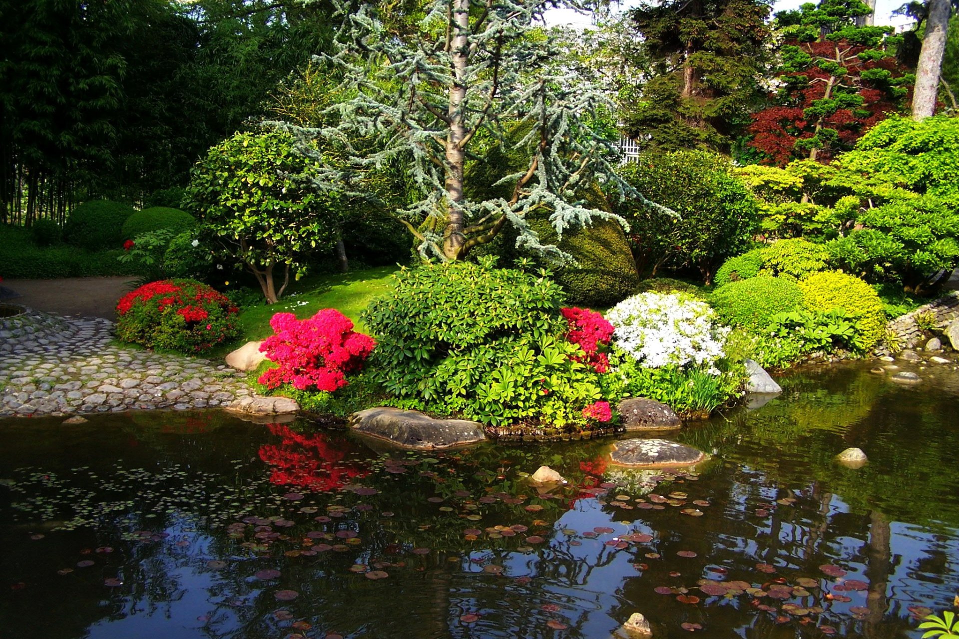 france jardin étang jardin albert-cantal paris buissons fleurs arbres