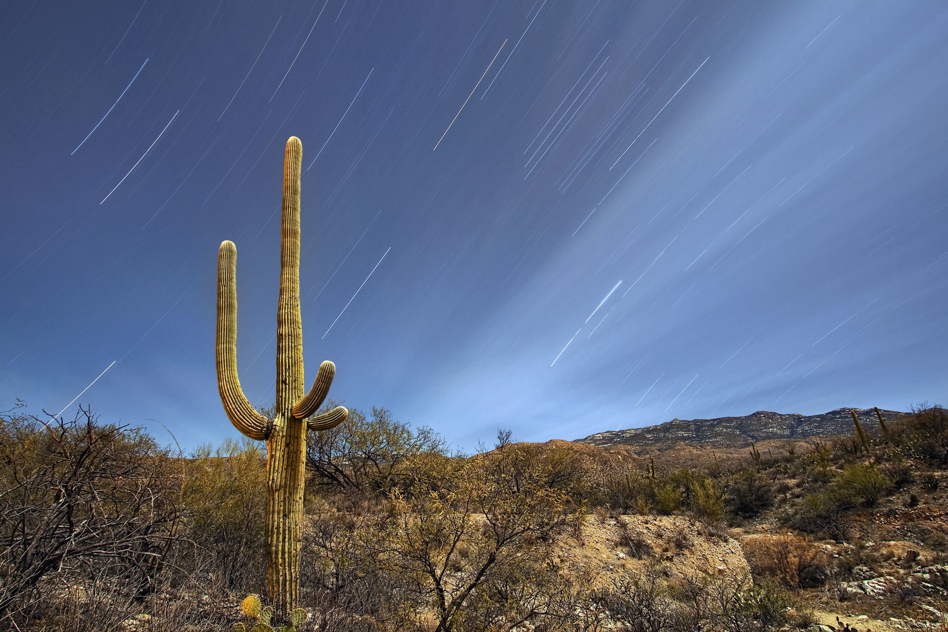 tucson arizona united states sky night star desert hills cactu