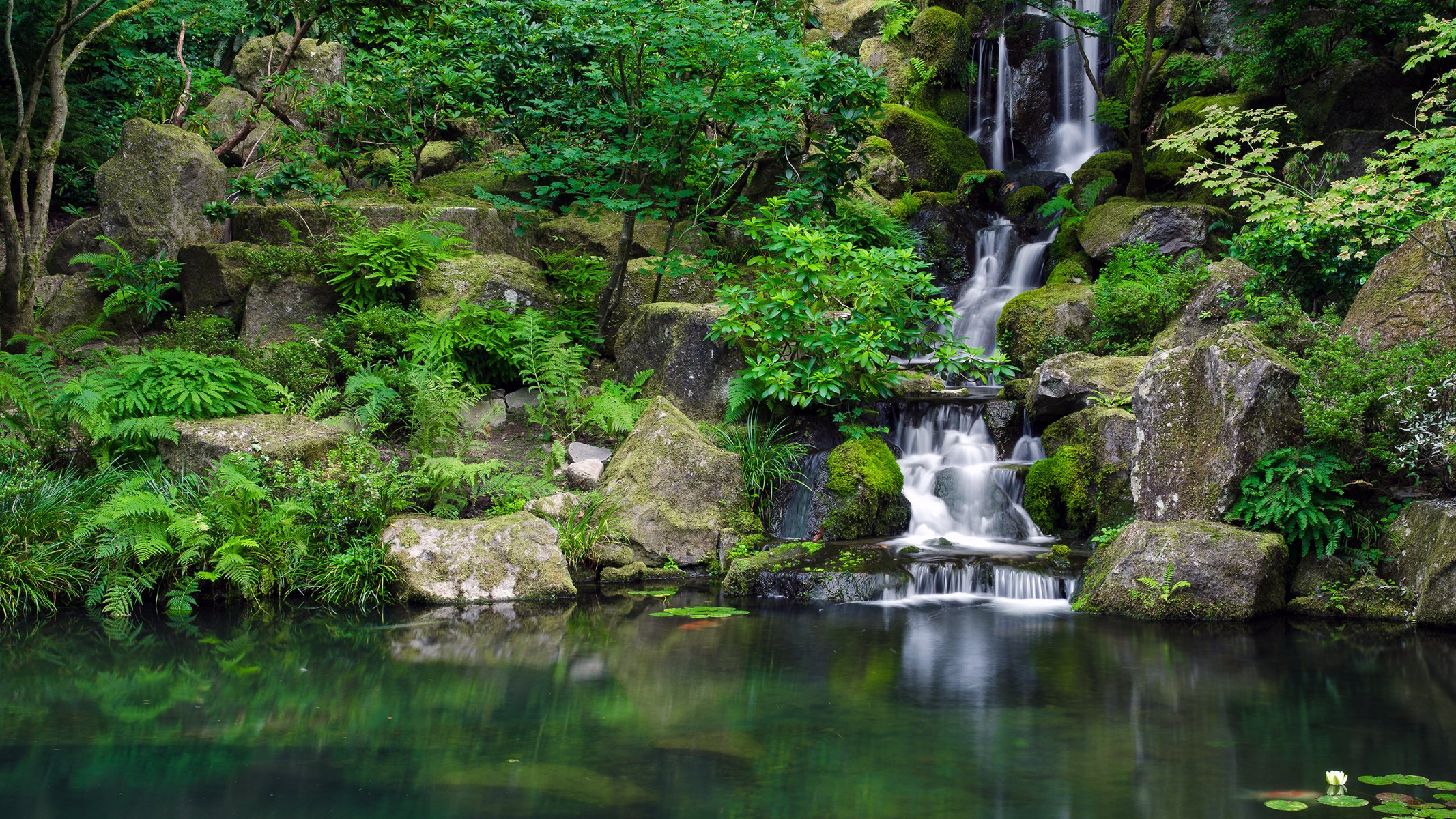 acqua pietre verde