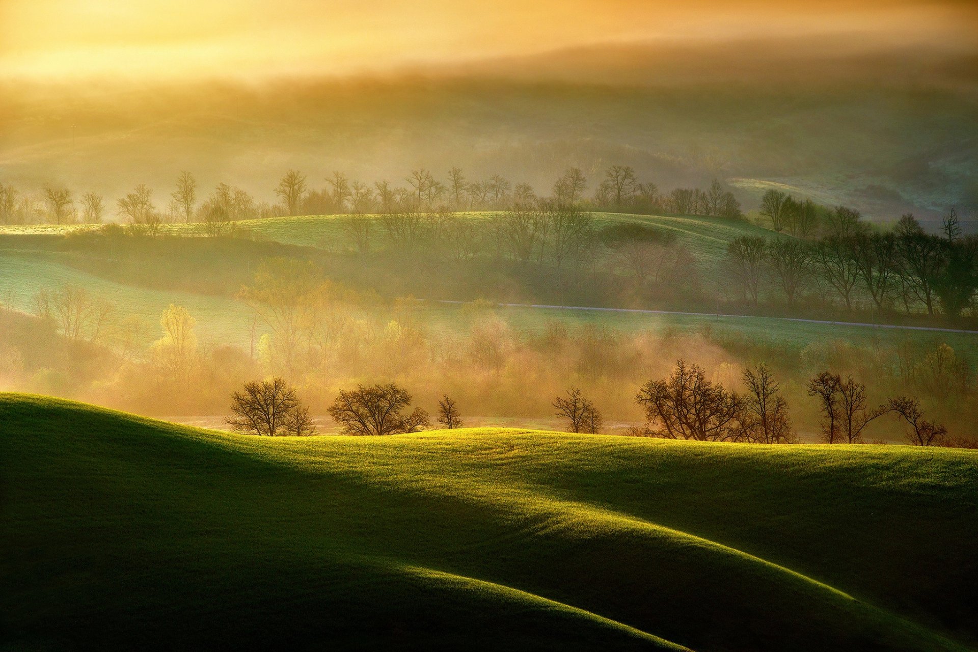 italy region of tuscany asciano of the field morning pairs light