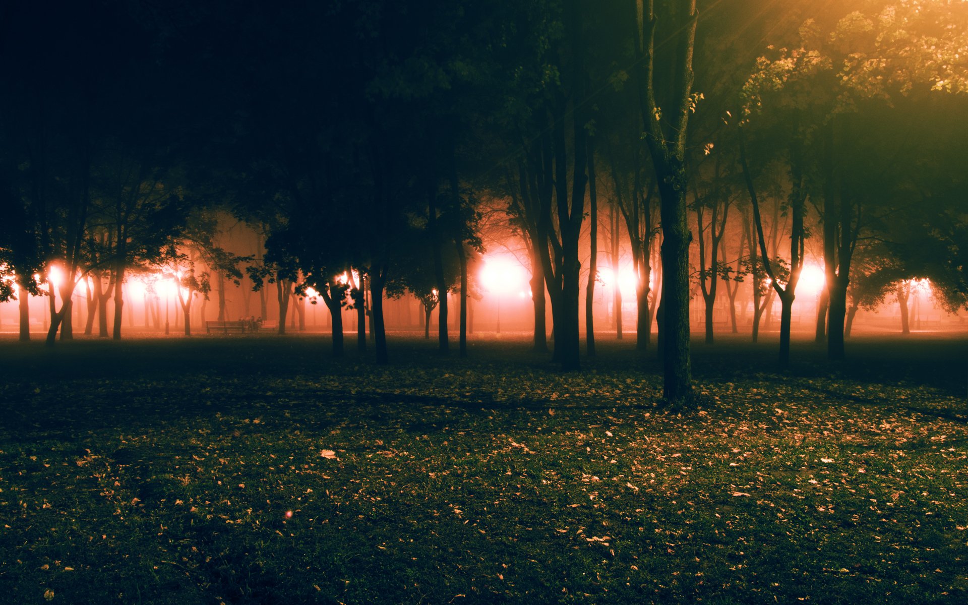 park nebel herbst