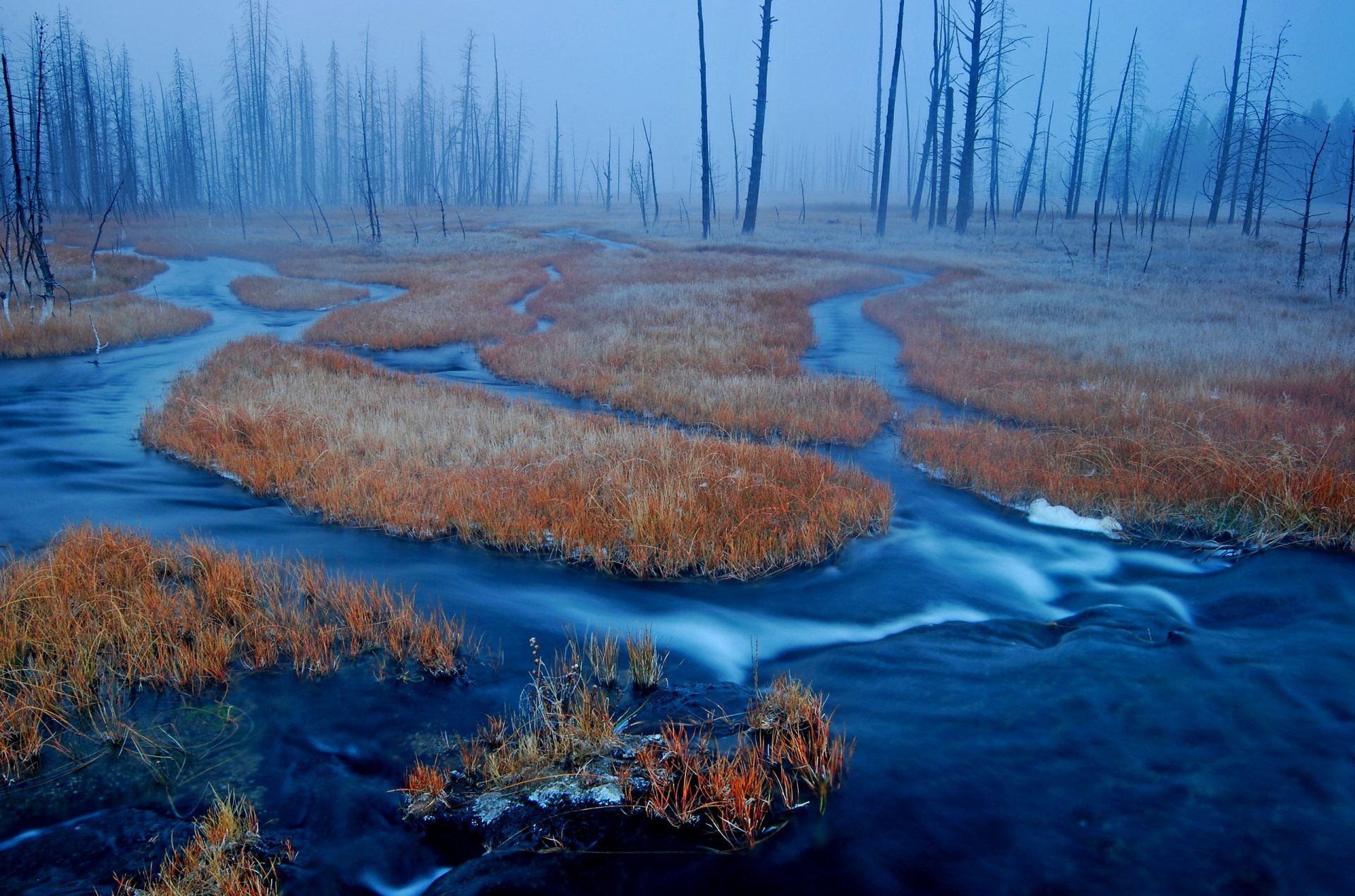 yellowstone wyoming usa las bagno trawa mgła rzeka