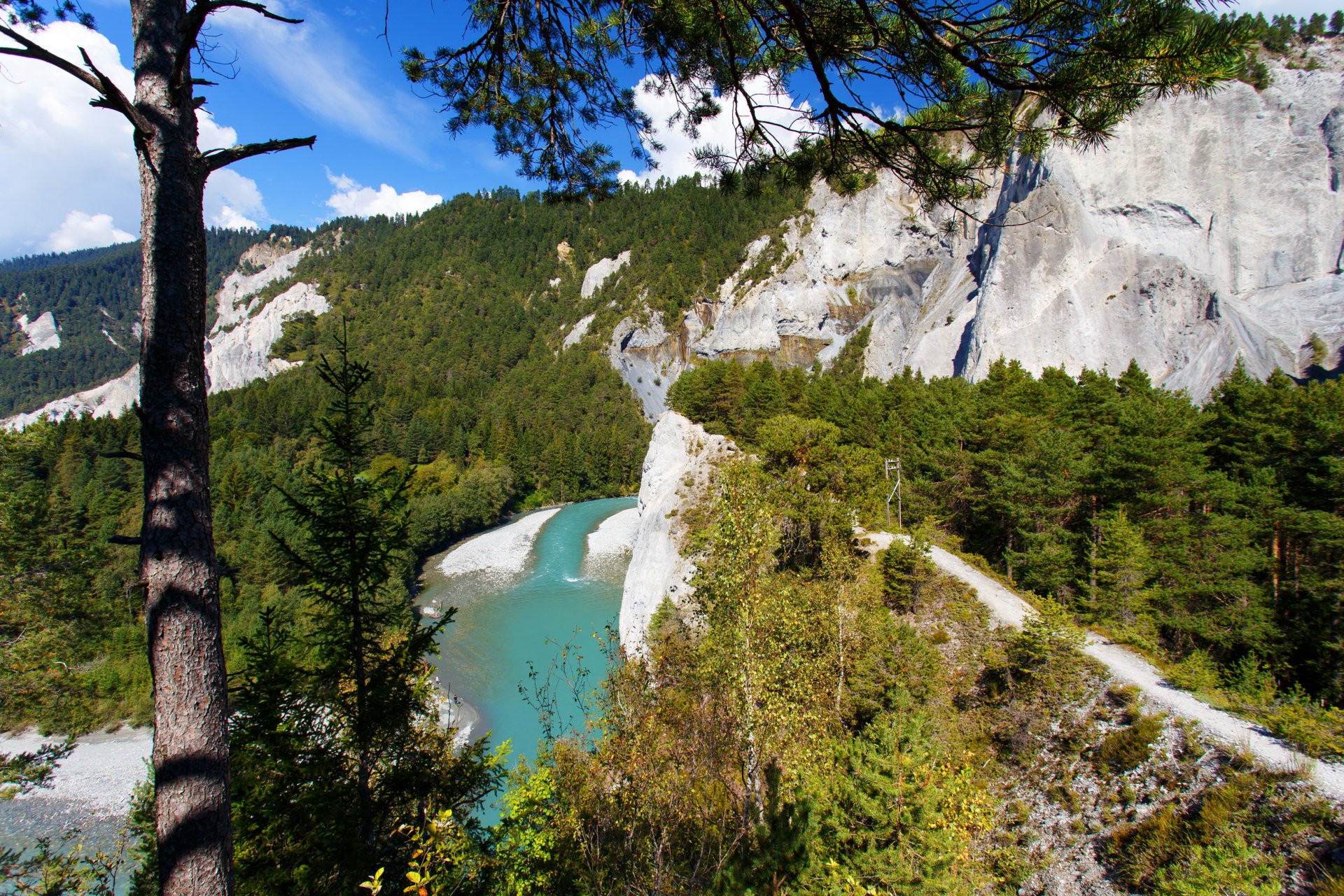 schweiz berge alpen fluss bäume