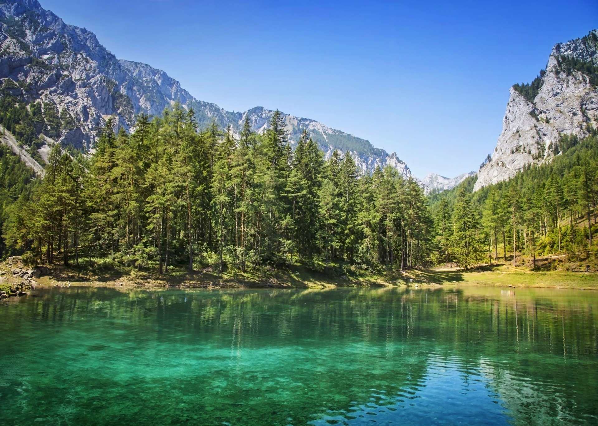 natura montagna foresta lago alberi di natale albero
