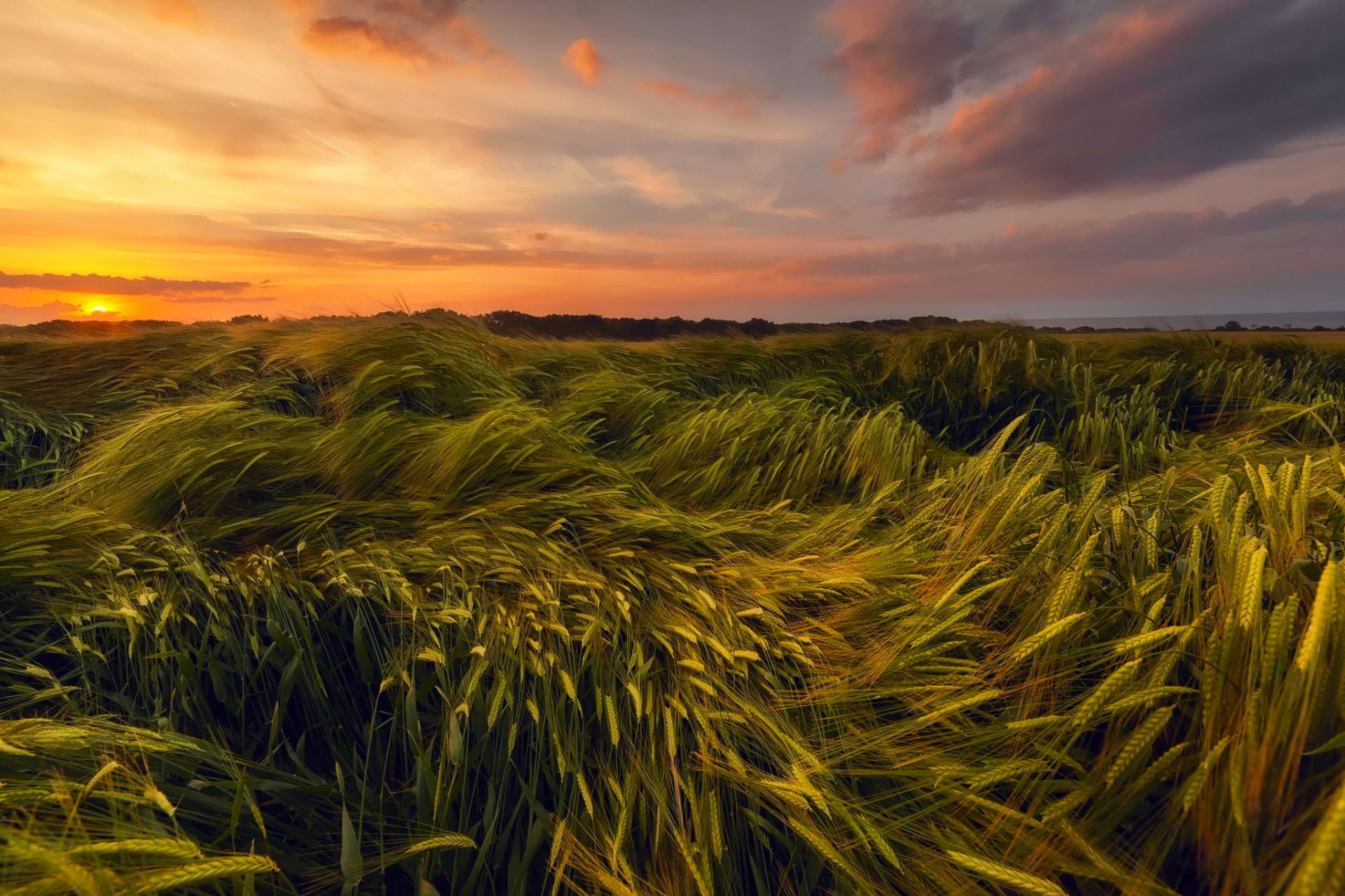estate giugno sera tramonto cielo sole campo grano