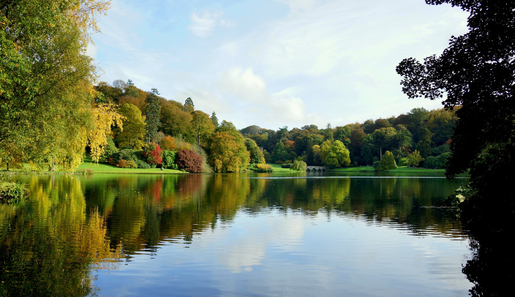 autumn park tree bridge pond