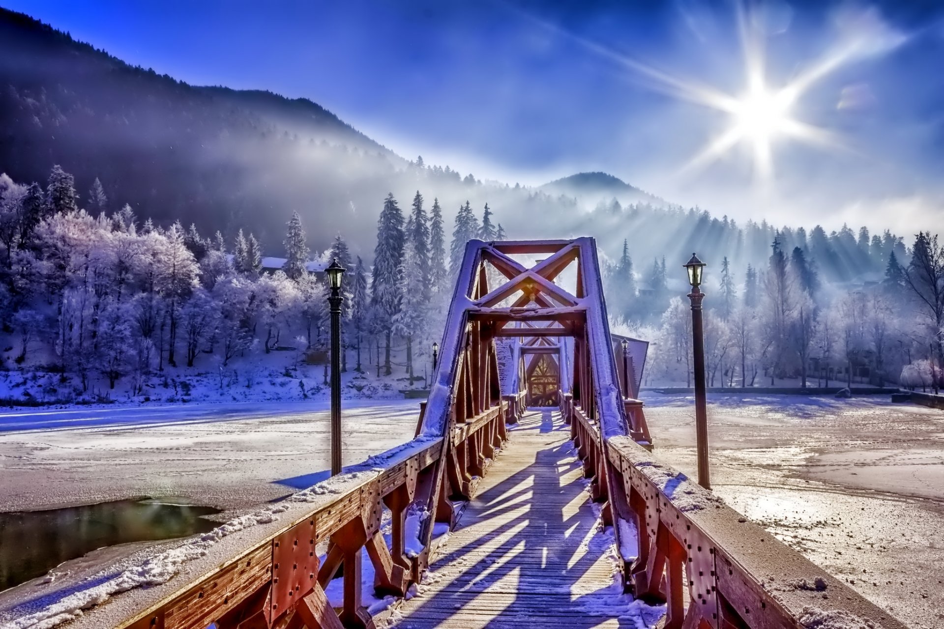 invierno nieve naturaleza bosque cielo puente