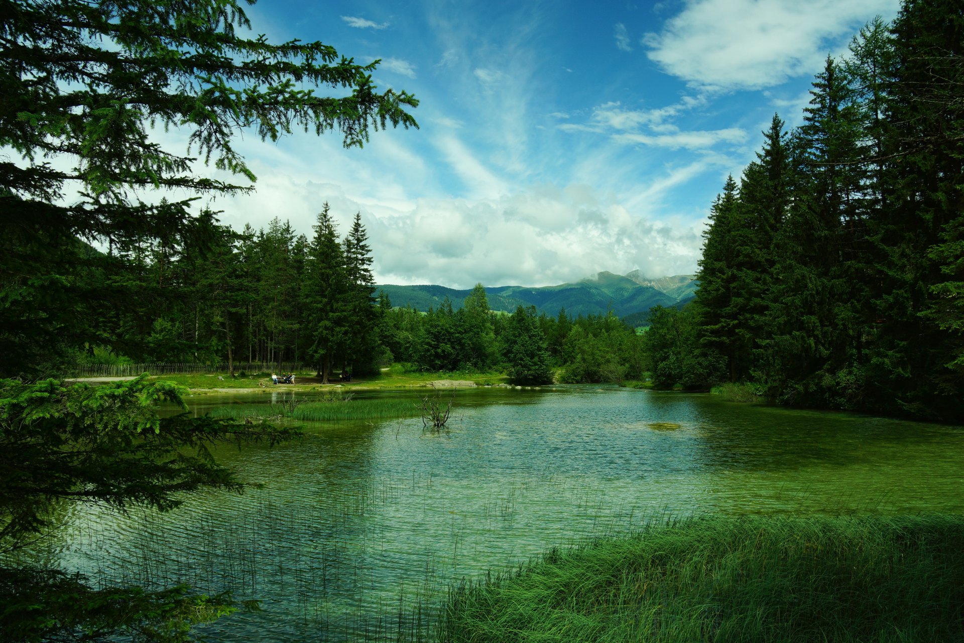 италия лес горы озеро toblach озеро деревья трава зелень