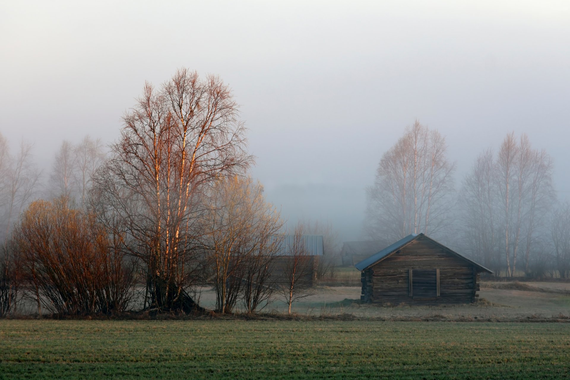 lappland övertorneå schweden morgen scheune nebel