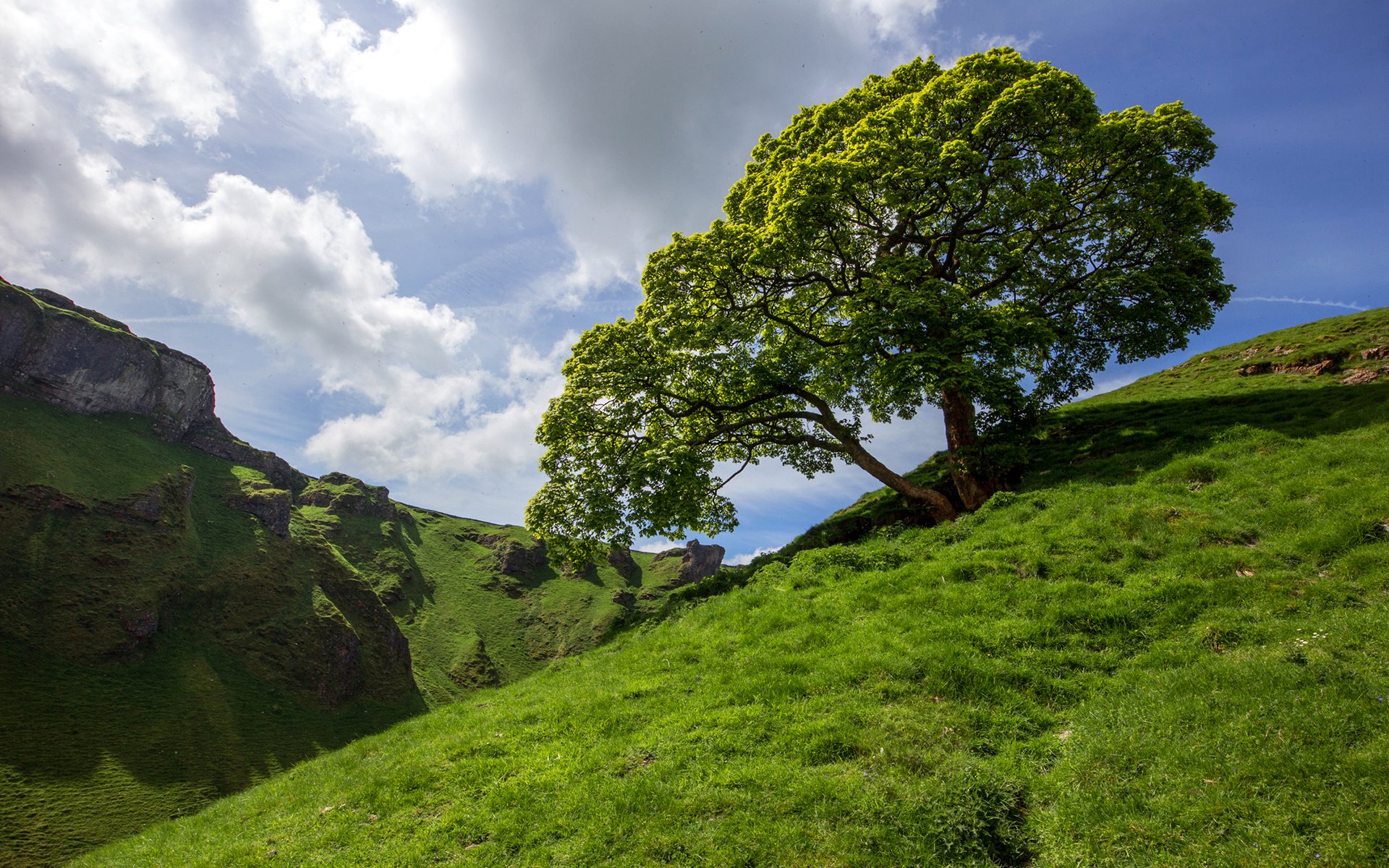 cielo nubes montañas pendiente hierba árbol
