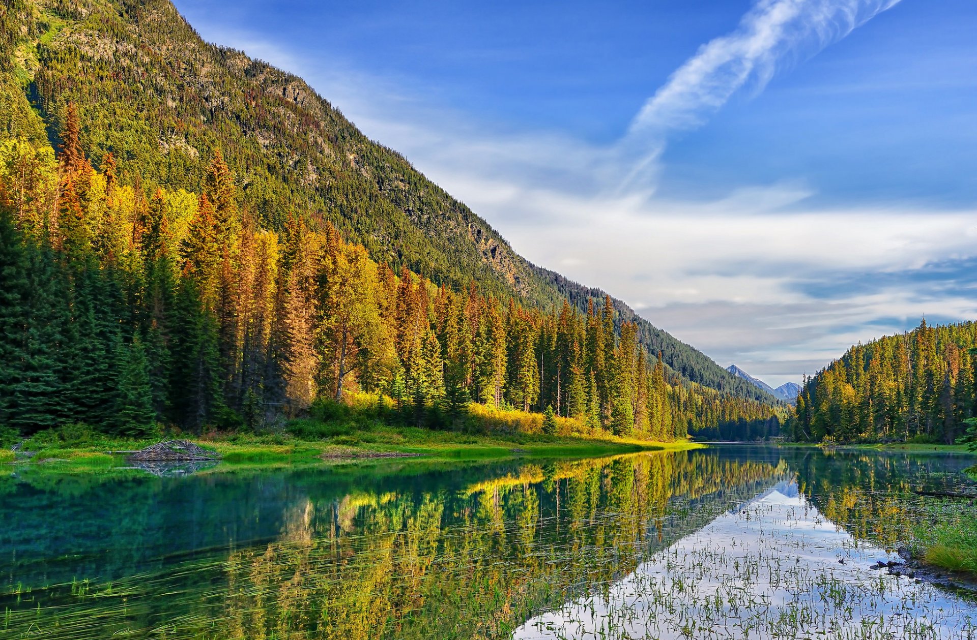 cielo montañas bosque lago árboles verano