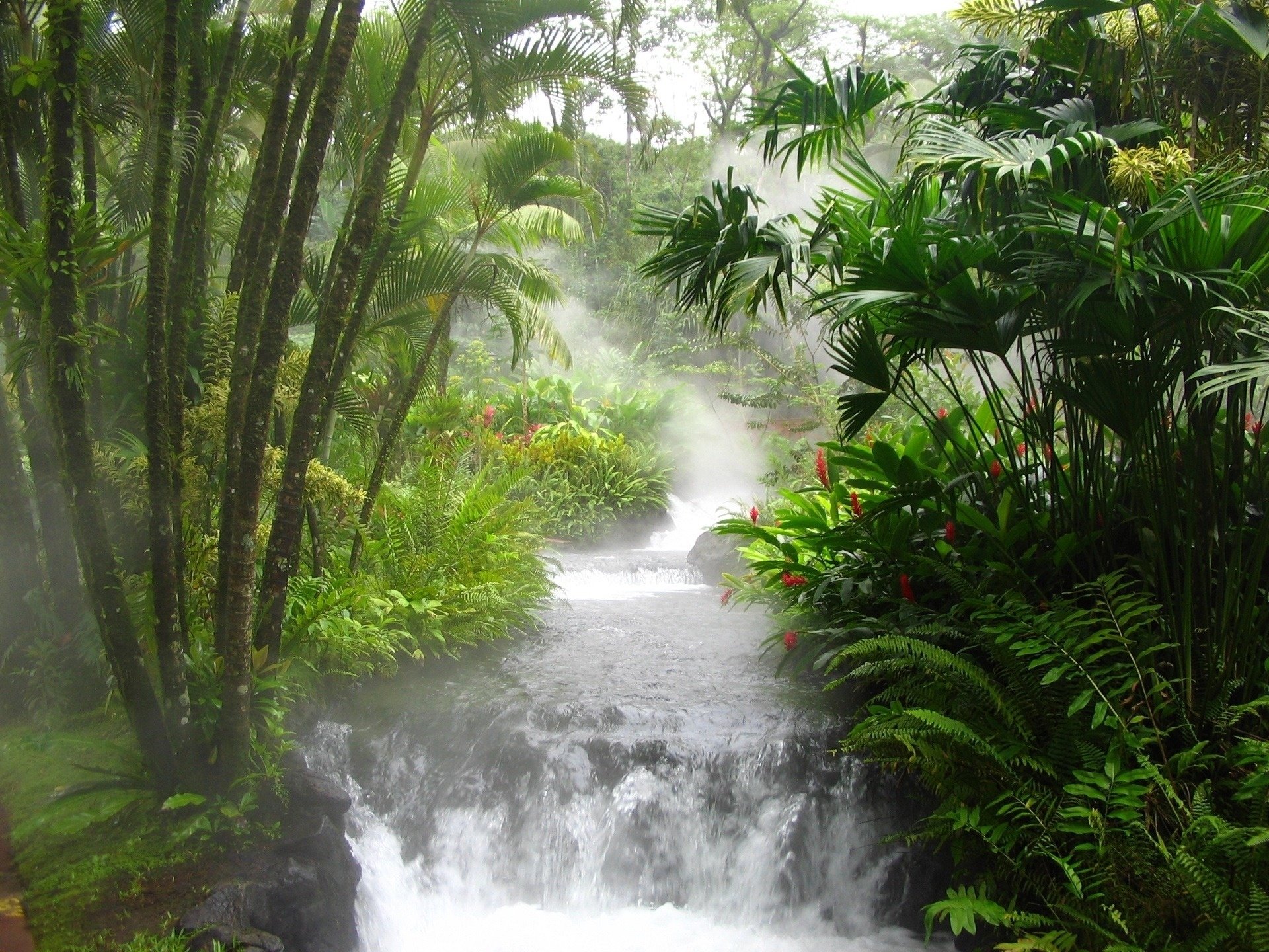 arte paisaje naturaleza agua corriente