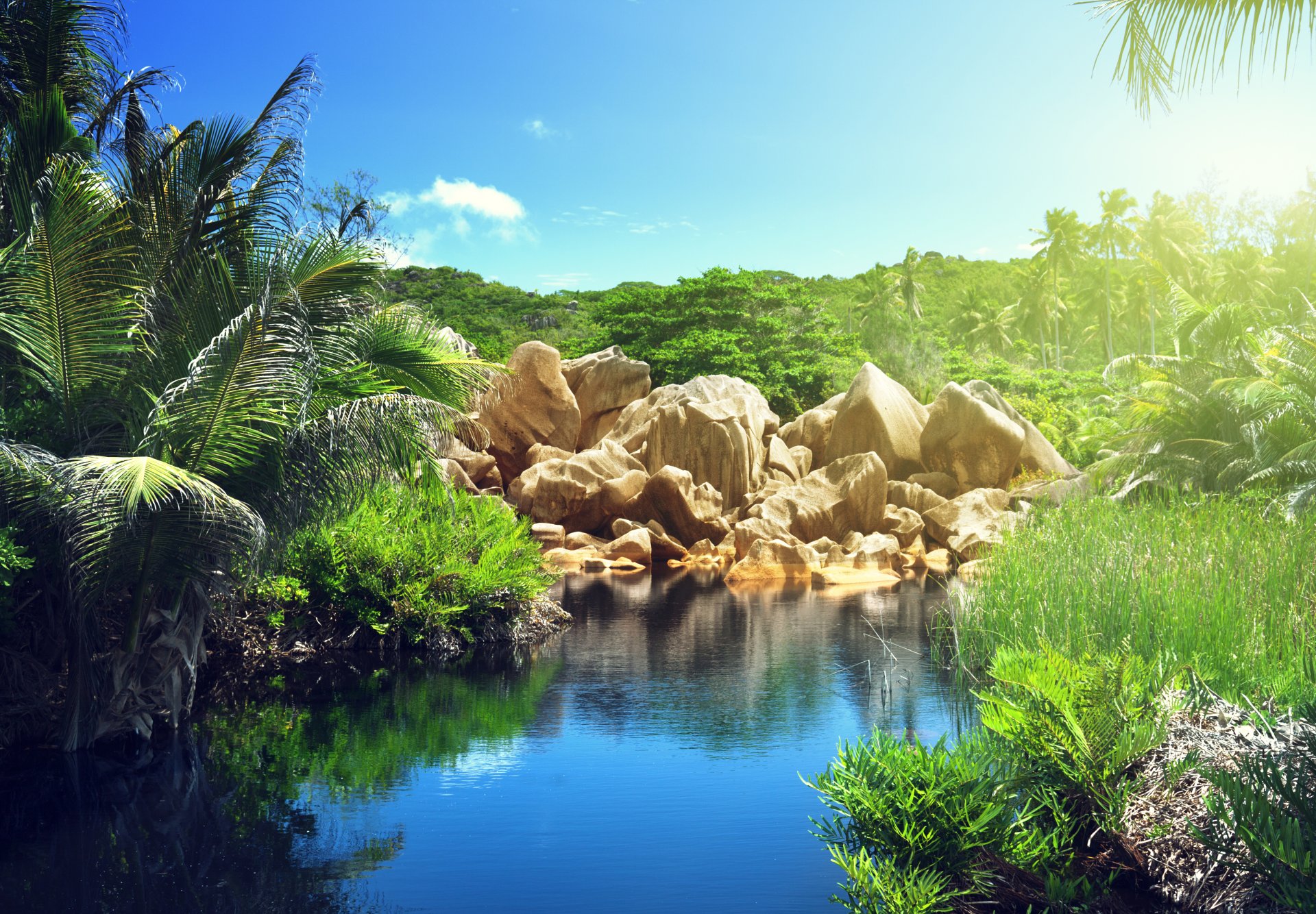 tropical paradise palm trees sea lake summer tropic