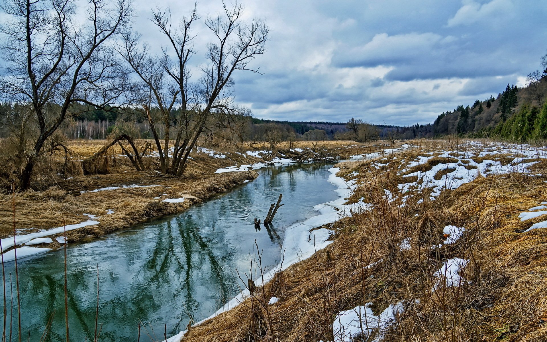 primavera río naturaleza
