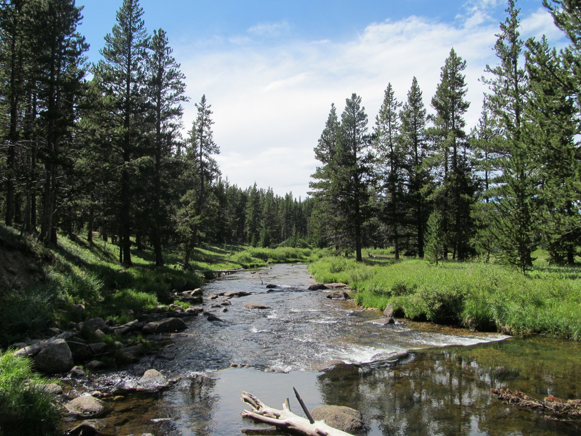 mountain river forest nature big horn mountain