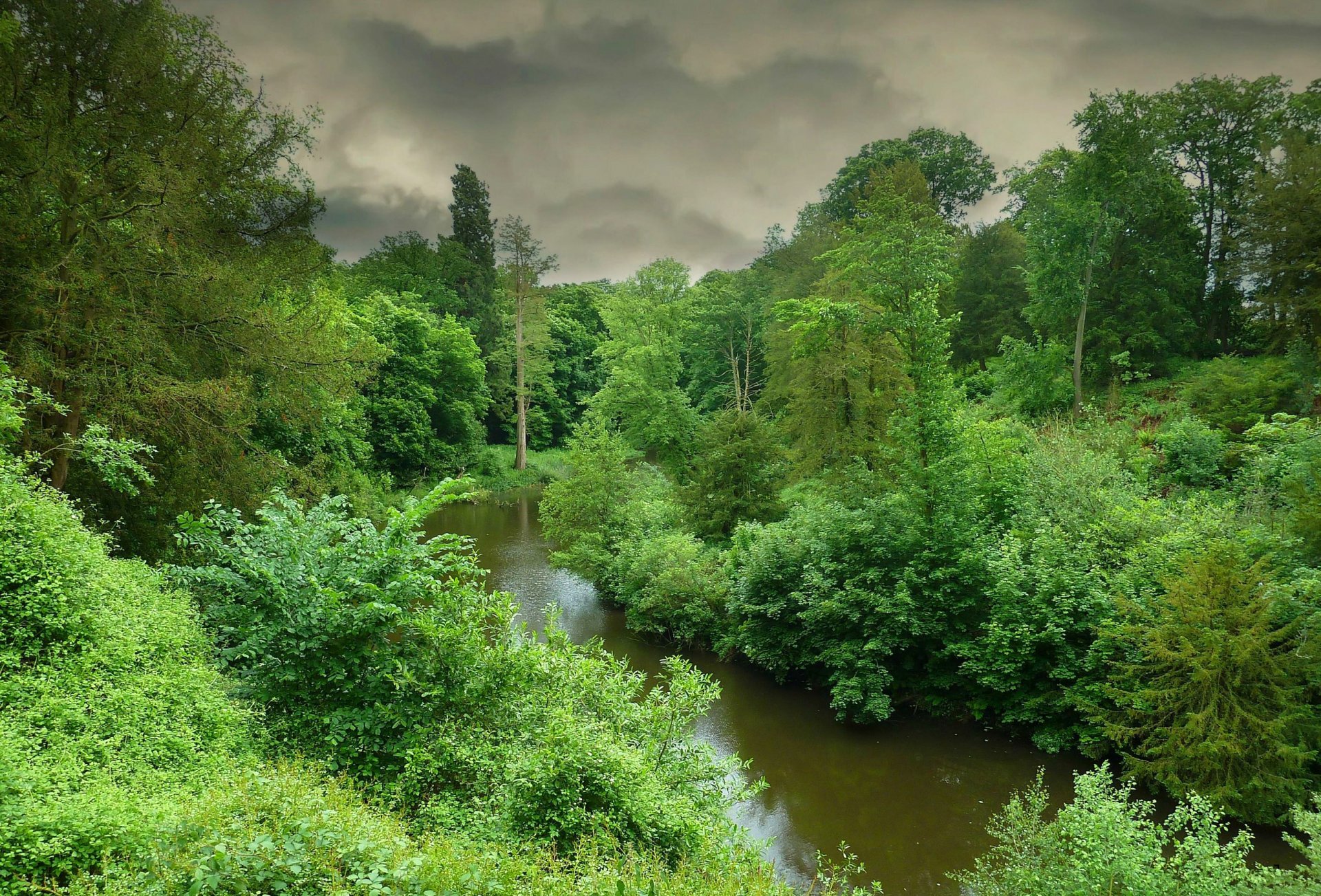 cielo nuvole foresta alberi fiume paesaggio