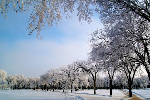 Winter road early in the morning