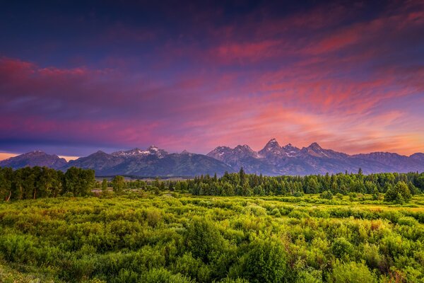 The sunrise in the mountains is incredibly pink