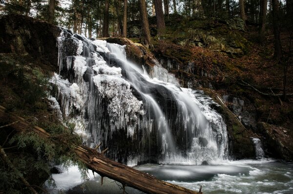 Cascata semi-ghiacciata nella foresta invernale