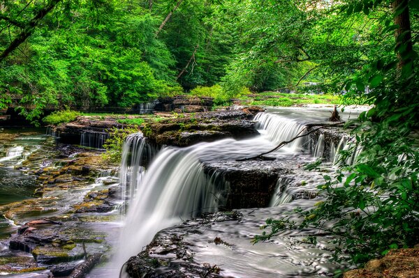 River in the forest with rapids and ledges