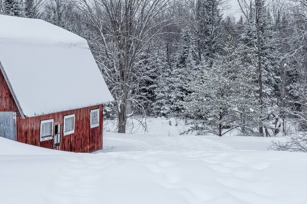 Maison en bois dans la forêt d hiver