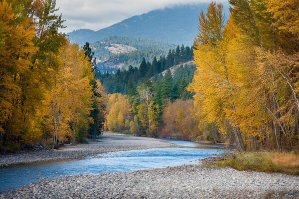 Paesaggio di montagne e fiume di montagna in autunno