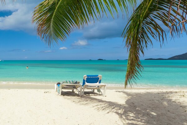 Tropischer Paradiesstrand mit Palmen