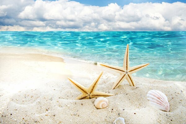 ¿Te gusta el mar como yo?