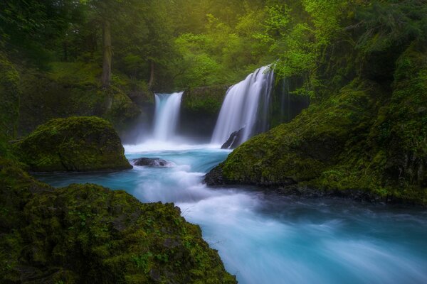 Ein magischer Wasserfall inmitten eines Waldes in Kolumbien