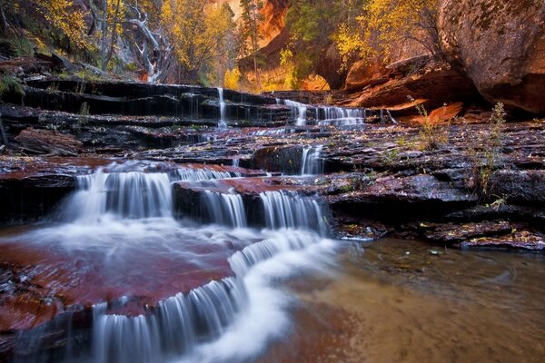 Small waterfalls in a beautiful forest