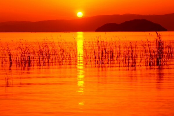 Puesta de sol roja en el lago