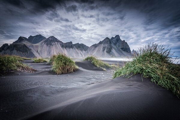 Grass on the gray sand near the mountains