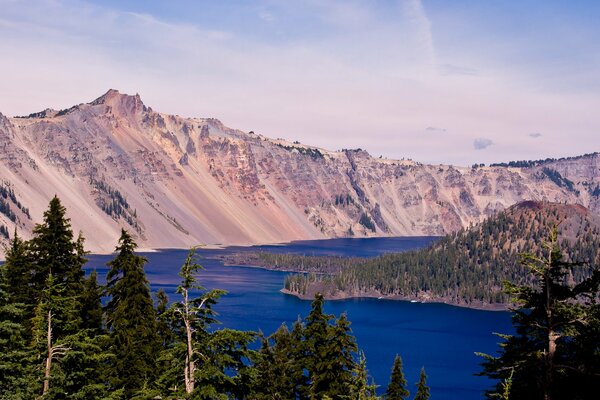 Lake among the mountains, tall trees