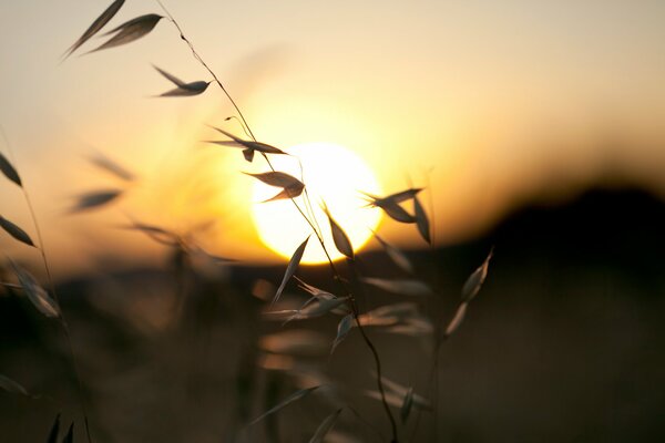 Coucher de soleil avec fond flou