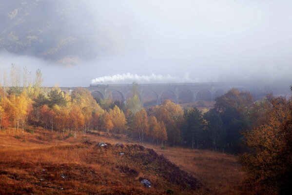 Bridge in the autumn forest in the haze