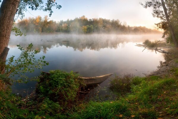 Lago tra gli alberi nella nebbia