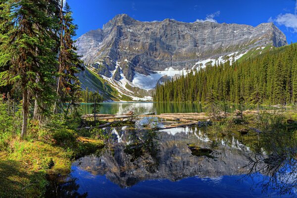 Rivière au pied des montagnes enneigées