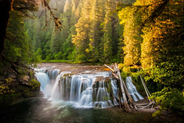 Cascata in autunno più spesso foresta