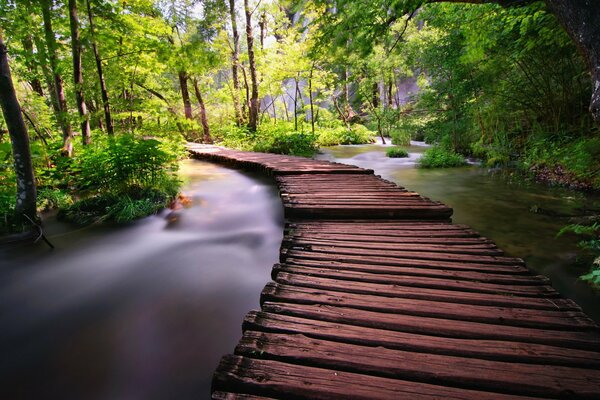 Pont sur la rivière dans la nature