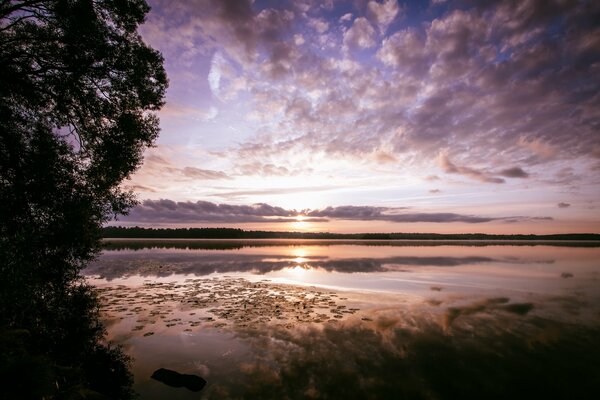 Aube du matin près du lac de la forêt