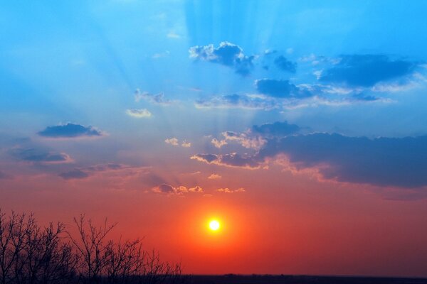 Red and blue sky at sunset