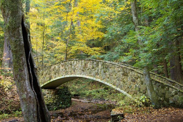 Stone bridge over a stream in the autumn forest